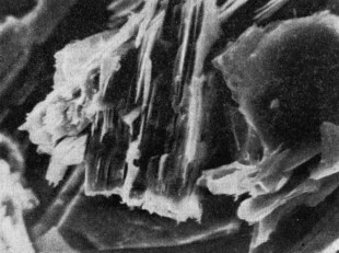 Микрофотография пород, поднятых с глубины 8028 метра