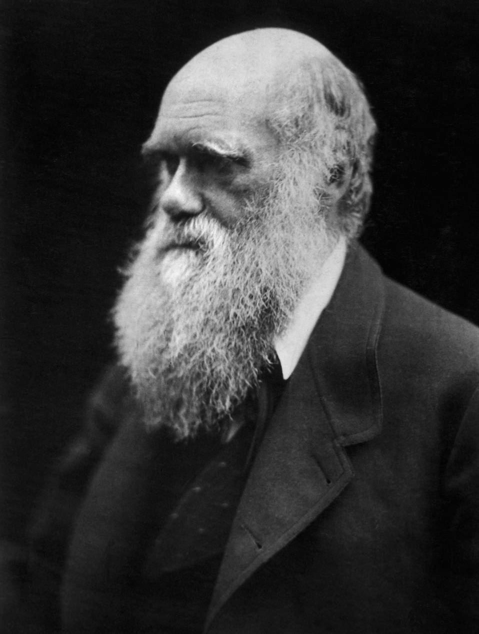 Чарлз Дарвин, фото 1868 года