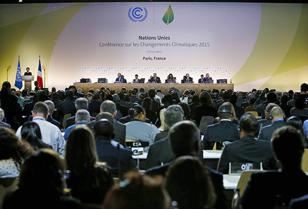 Конференции в Париже: в центре внимания — вырубка лесов 