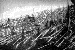 Вывал деревьев в районе тунгусского события. По материалам экспедиции Л. Кулика, 1927