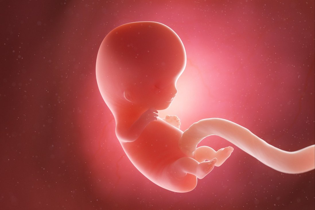 эмбрион, искусственный интеллект, Китай, искусственная матка
