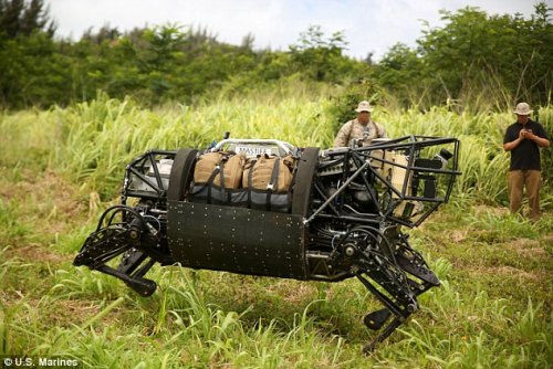 DARPA, США,  робот, насекомые-киборги, технологи, фантастика
