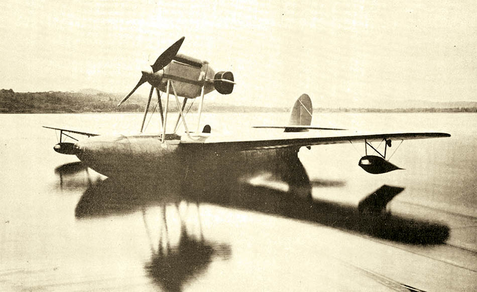 моноплан Макки М.33, свободнонесущий моноплан, гидроплан-истребитель М.26