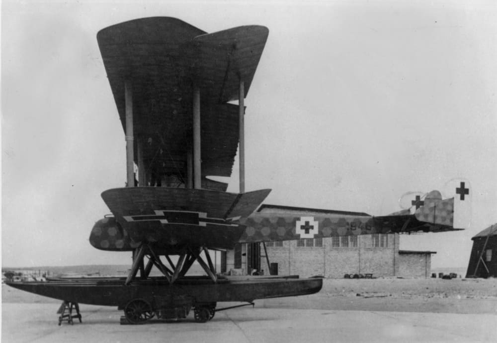 опытный самолет Гота, тяжелые торпедоносцы, штурвал