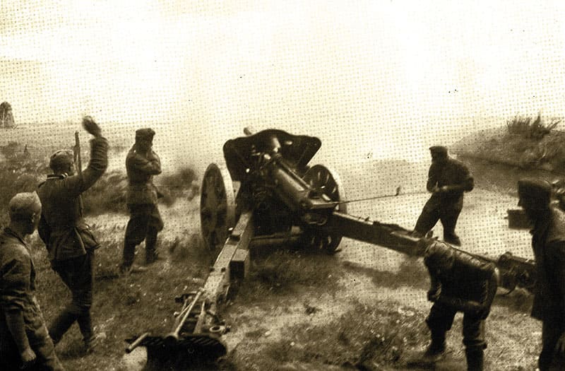 полевая артиллерия, пехотная дивизия, артполк