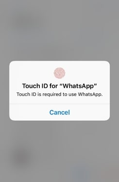 WhatsApp, блокировка мессенджера, блокировка touch-id