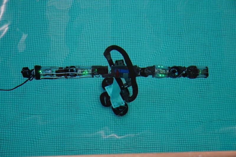 Робот-змея может помочь инспектировать подводные объекты