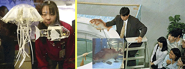 роботы Aquaroid Fish, Японские роботы, мини-процессор