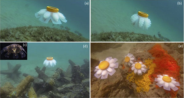 Робот-медуза, организм, Марианская впадина