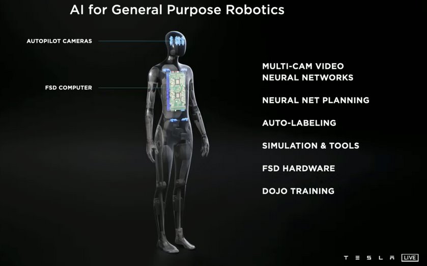 Домашний робот-гуманоид. Tesla Bot от Илона Маска
