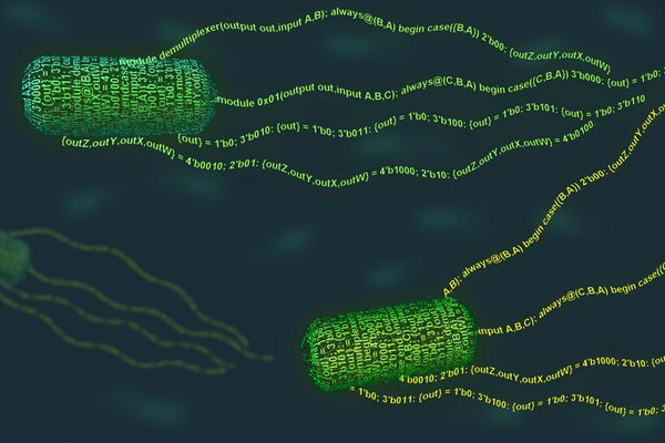 Создан язык для программирования клеток бактерий 