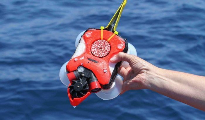 Группе исследователей из Стэнфордского университета удалось разработать необычное устройство, с помощью которого планируют наблюдать за подводной жизнью китов