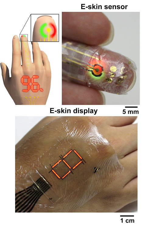 В Японии создали сверхтонкий и сверхгибкий экран для электронной кожи