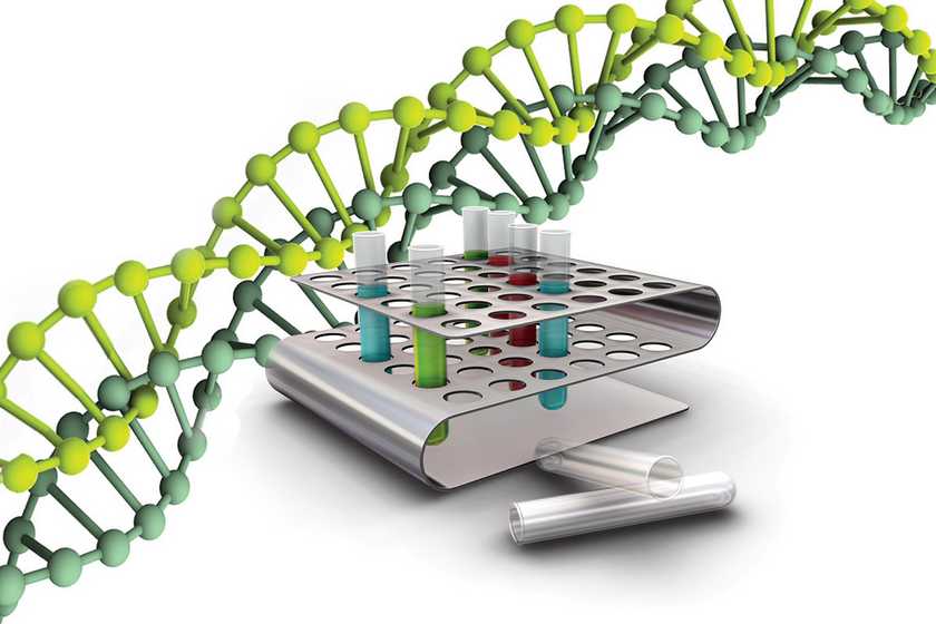 Microsoft будет хранить данные с помощью синтетической ДНК