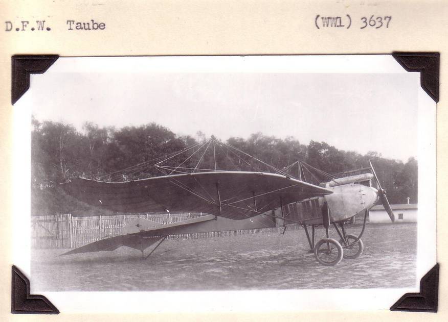 Самолет «Таубе» производства фирмы Deutsche Flugzeugwerke GmbH – DFW