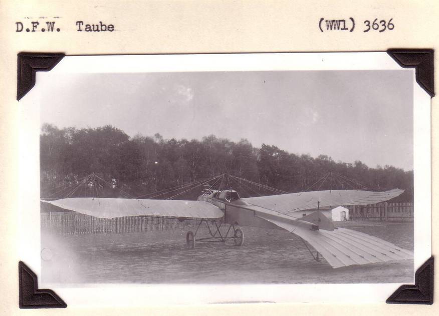 Самолет «Таубе» производства фирмы Deutsche Flugzeugwerke GmbH – DFW